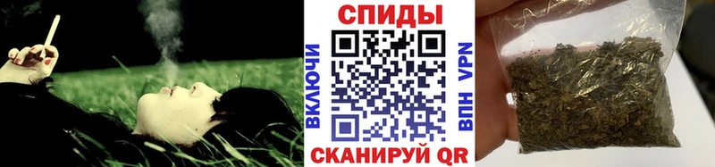 Купить где  Фрязино  Бутират BDO 